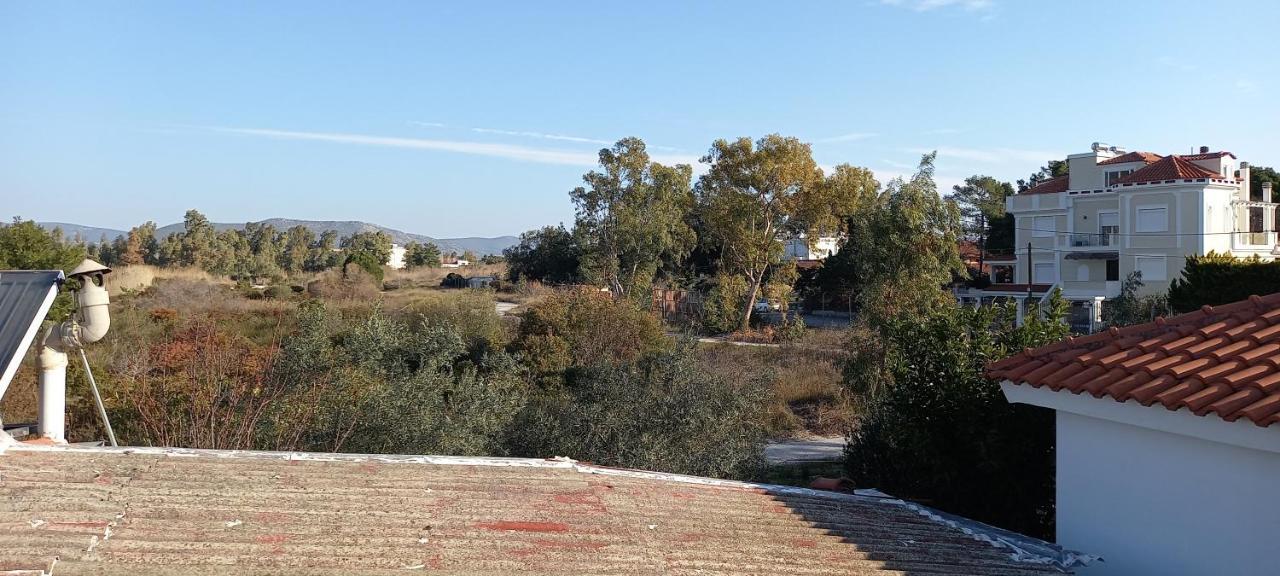 Elizas House Villa Néa Mákri Buitenkant foto